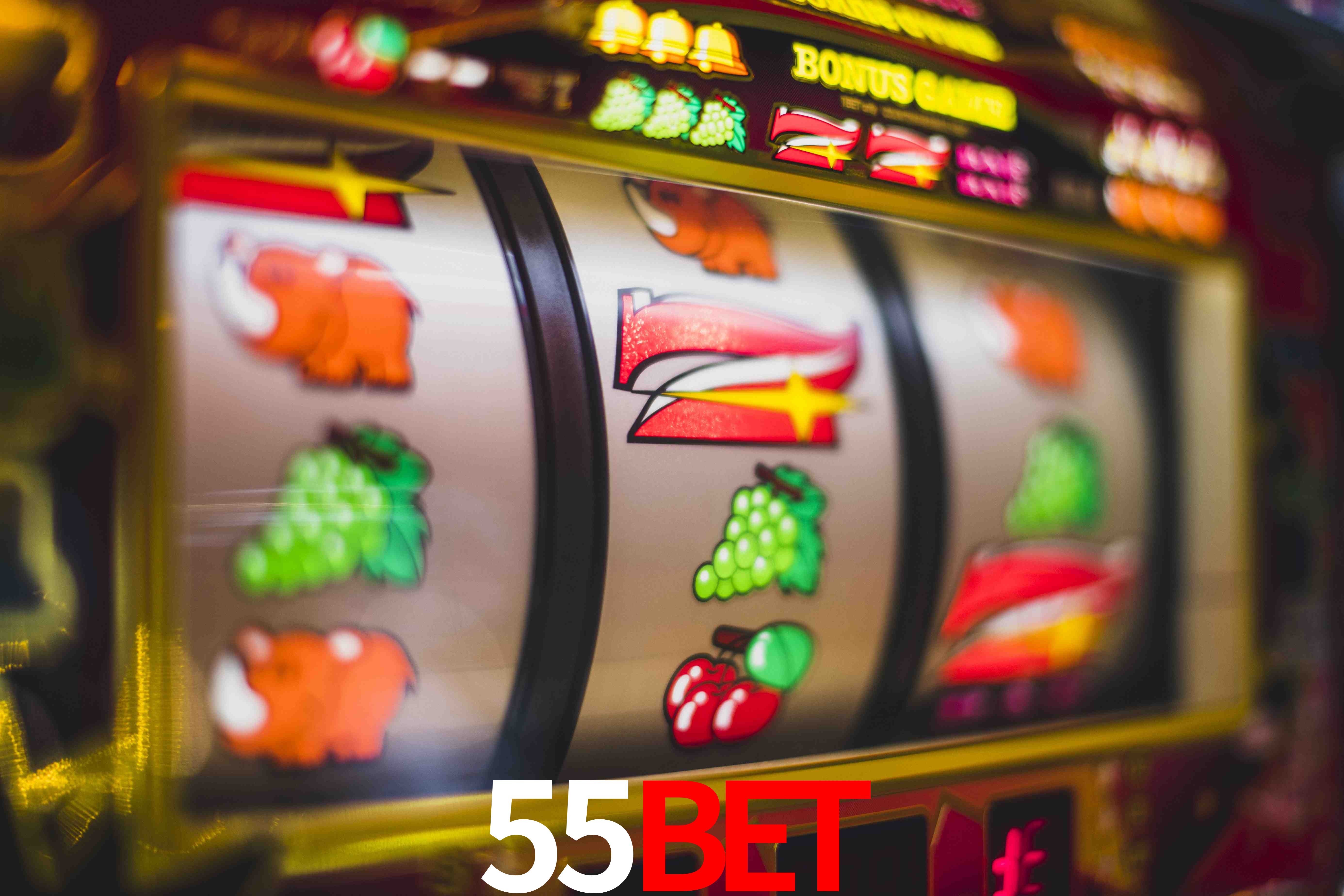 Sports Statistics 55Bet