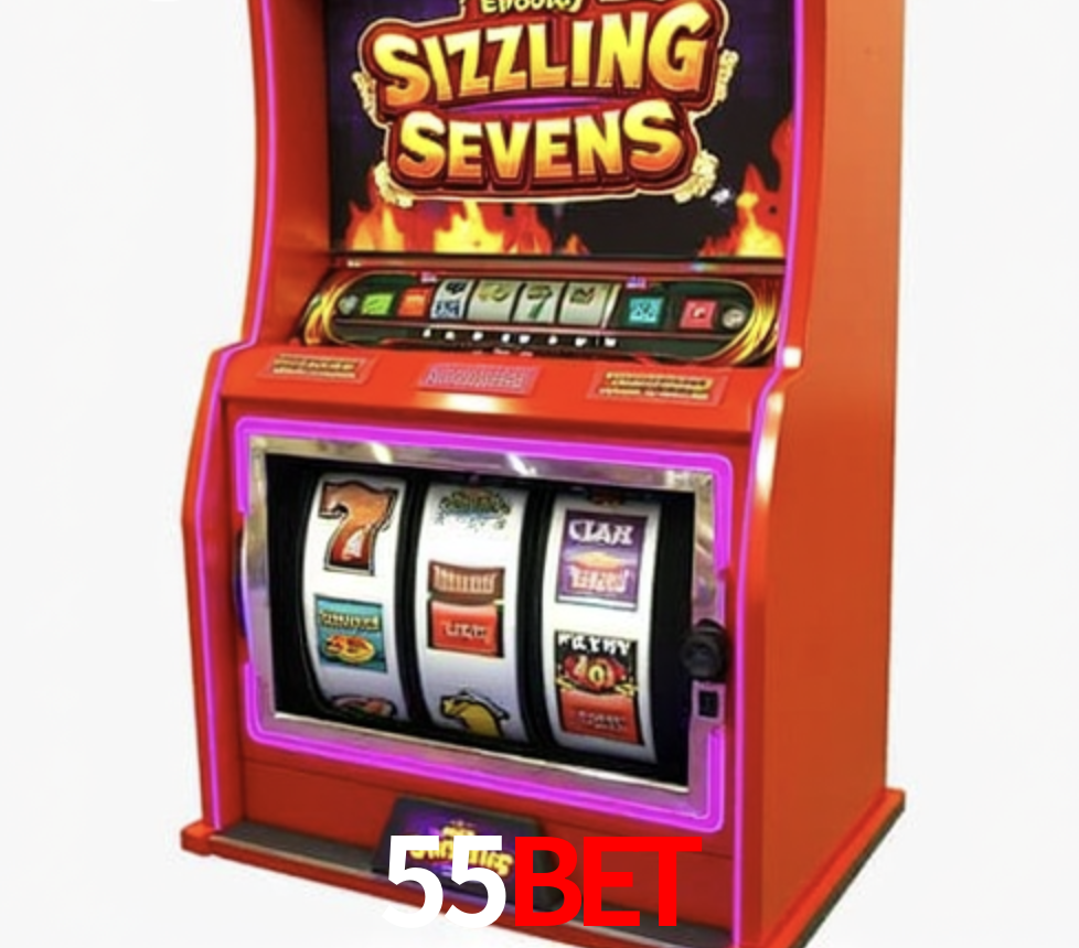 Security Systems 55Bet